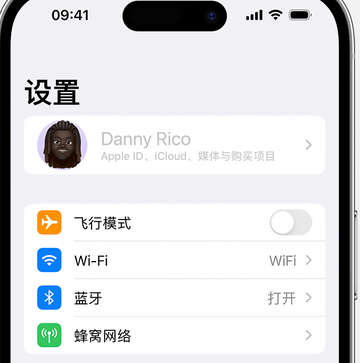 潮安appleID维修服务iPhone设置中Apple ID显示为灰色无法使用 