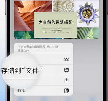 潮安apple维修中心分享iPhone文件应用中存储和找到下载文件