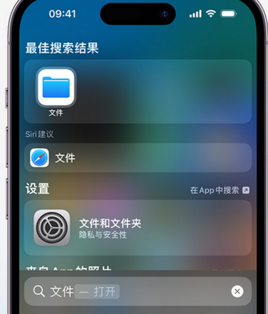 潮安apple维修中心分享iPhone文件应用中存储和找到下载文件 