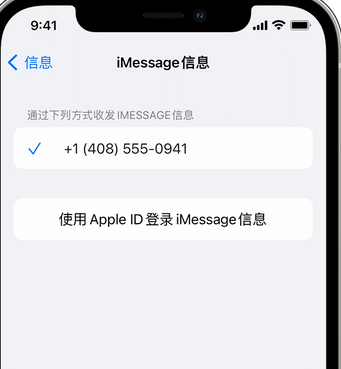 潮安apple维修iPhone上无法正常发送iMessage信息 