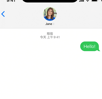 潮安apple维修iPhone上无法正常发送iMessage信息