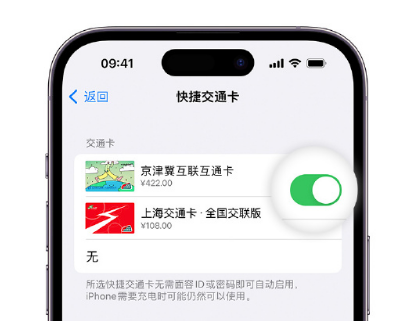 潮安apple维修点分享iPhone上更换Apple Pay快捷交通卡手绘卡面 