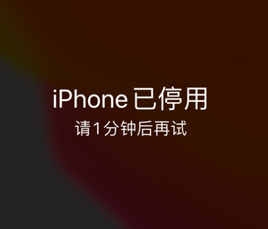 潮安苹果手机维修分享:iPhone 显示“不可用”或“已停用”怎么办？还能保留数据吗？ 