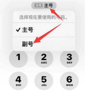 潮安苹果14维修店分享iPhone 14 Pro Max使用副卡打电话的方法 