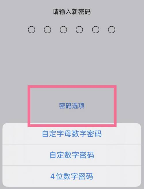 潮安苹果14维修分享iPhone 14plus设置密码的方法 