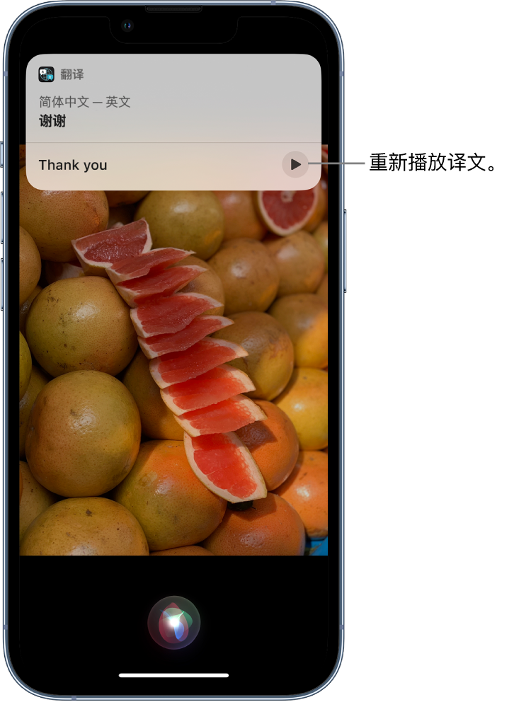 潮安苹果14维修分享 iPhone 14 机型中使用 Siri：了解 Siri 能帮你做什么 