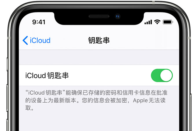 潮安苹果手机维修分享在 iPhone 上开启 iCloud 钥匙串之后会储存哪些信息 